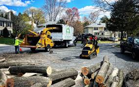 Boulder Hill, IL Tree Services Company